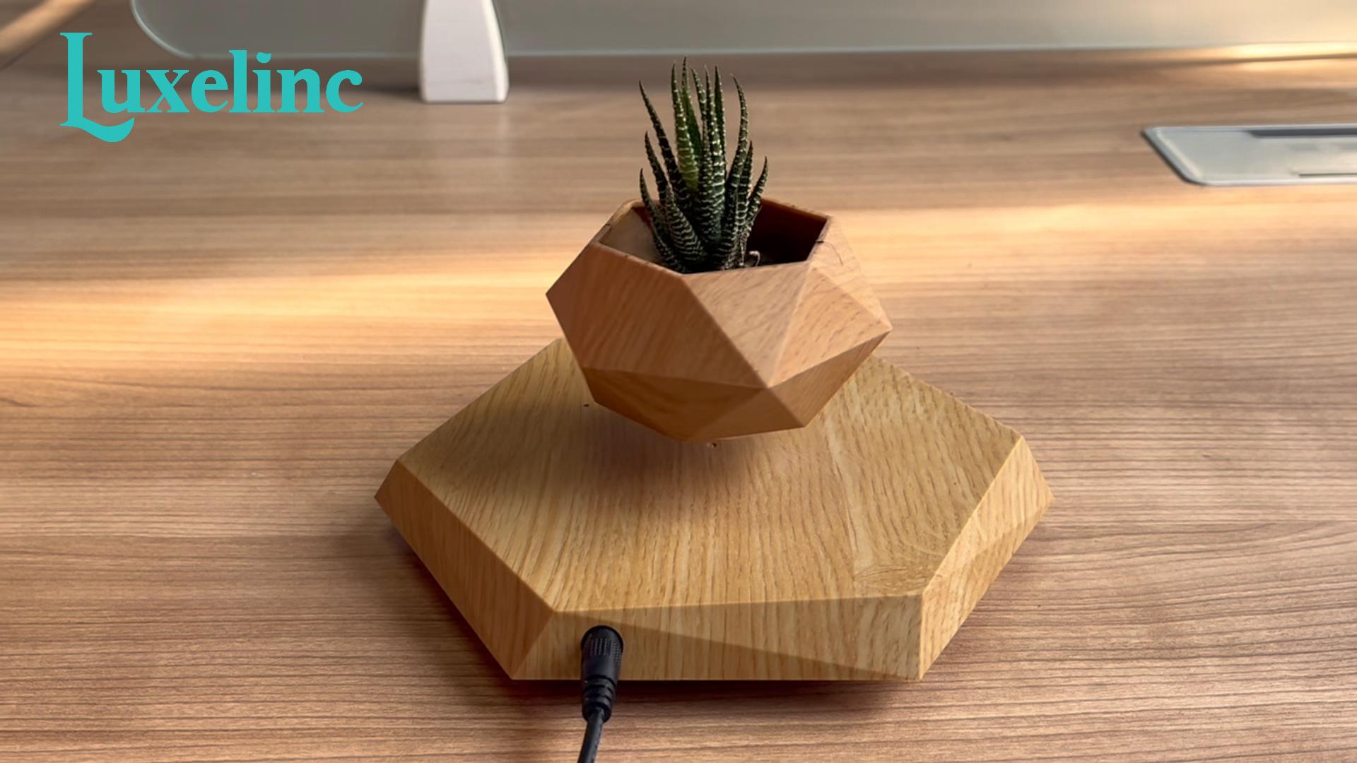 Amazon.com : Levitating Plant Pot, Floating Plant Pot Small